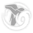 Image2
