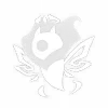 П4н