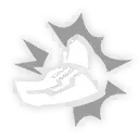 Image23
