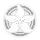 Image23