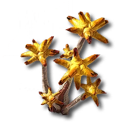 Image39