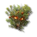 Image33