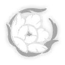 Image59