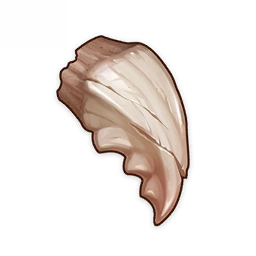 Image21