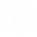 Skill Resolution 29