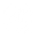 T Icon Device Xin M4 UI