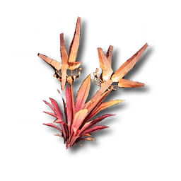 Image29