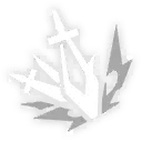 Image26