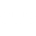 Owl Drone