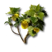 Image34