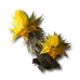Image15
