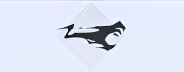 Image16